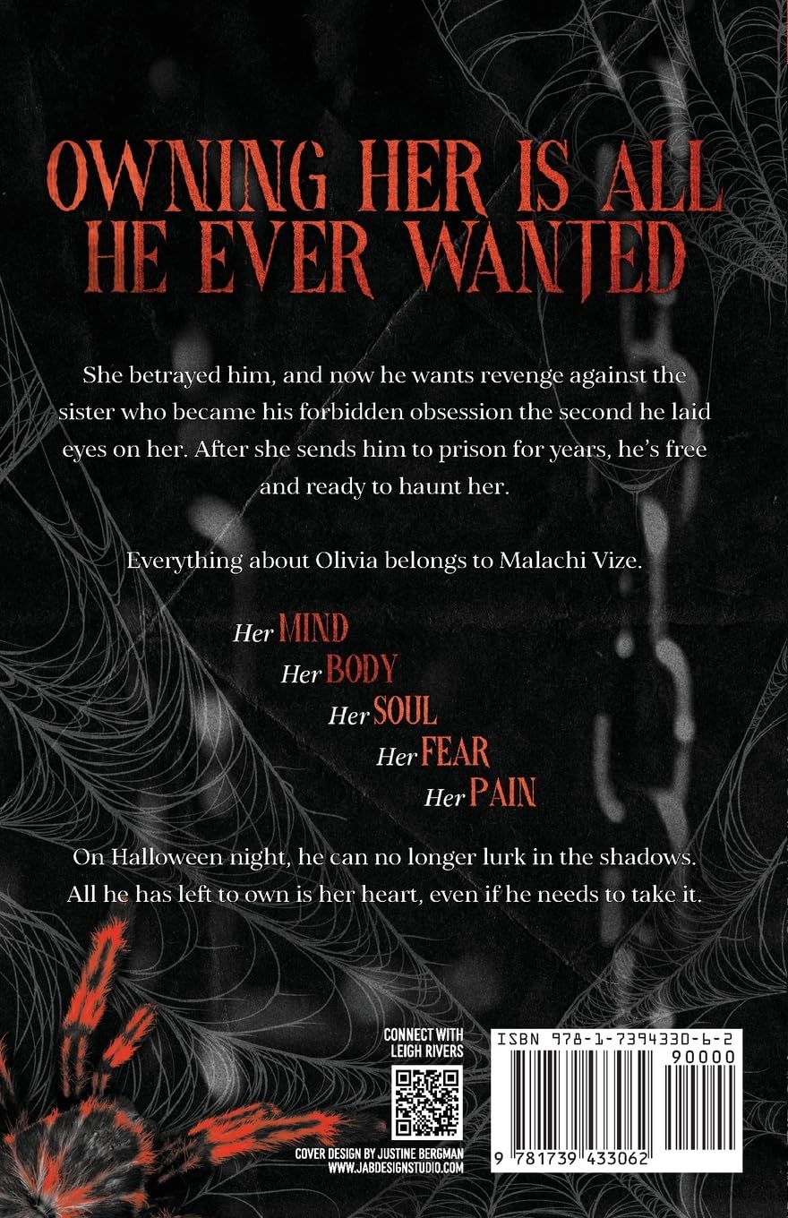 Little Stranger (Web of Silence Duet, Book 1)