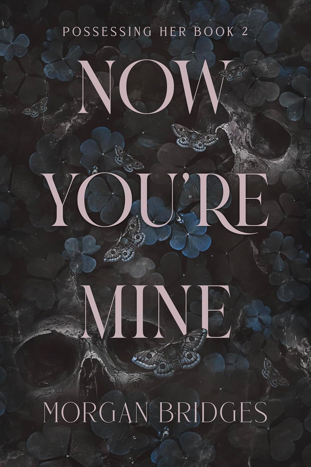 Now You’re Mine (Possessing Her Book 2)