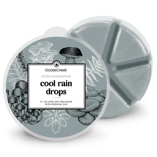 Cool Rain Drops Wax Melt
