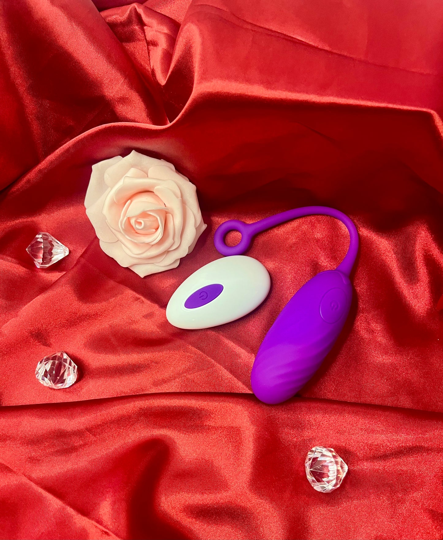 12 Speed Remote Control Vibrating Egg