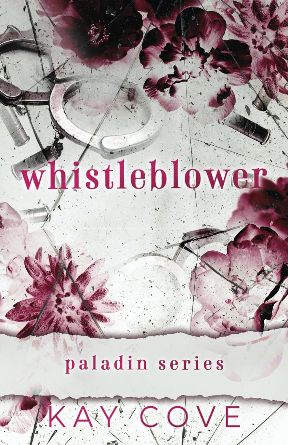 Whistleblower (Paladin, Book 1)